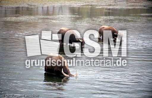 China (15 von 257).jpg